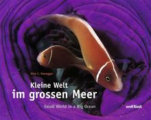 Kleine Welt im grossen Meer