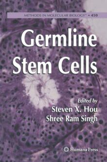 Germline Stem Cells (Methods in Molecular Biology, Band 450)