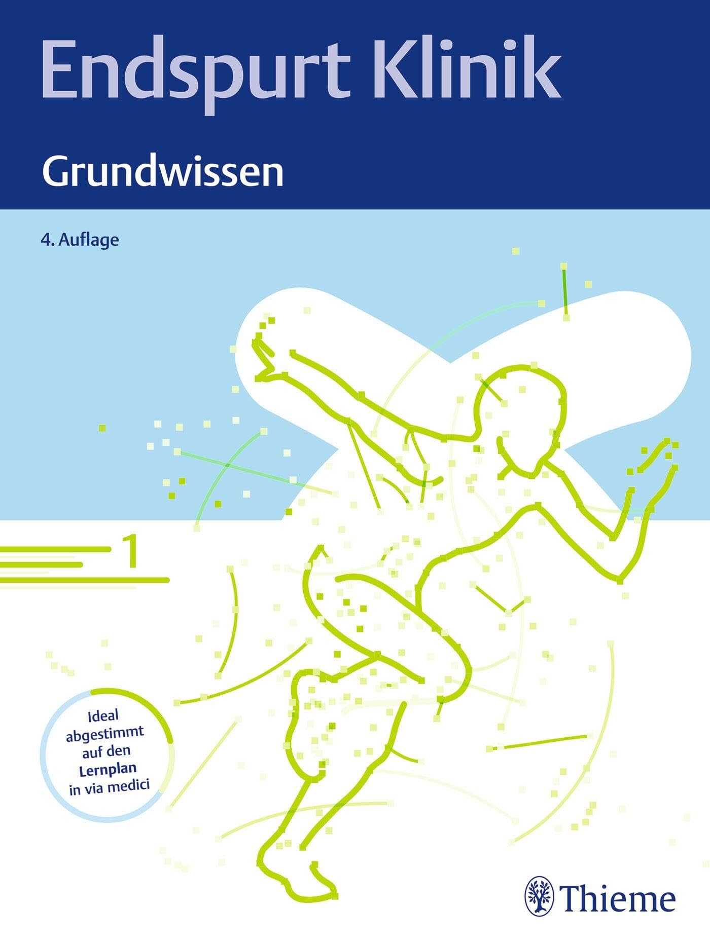 Endspurt Klinik Grundwissen Kartoniert (TB)