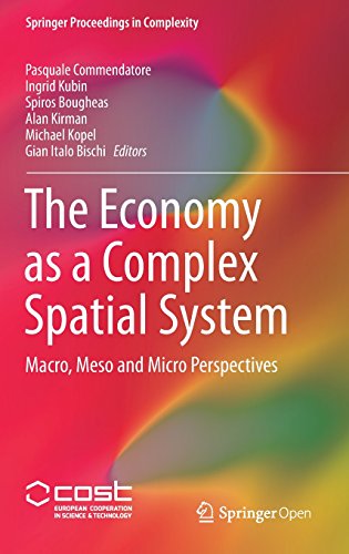 The Economy as a Complex Spatial System: Macro, Meso and Micro Perspectives (Springer Proceedings in Complexity)
