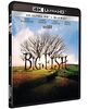 Big fish 4k Ultra-HD [Blu-ray] [FR Import]