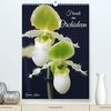 Freude an Orchideen (Premium, hochwertiger DIN A2 Wandkalender 2024, Kunstdruck in Hochglanz): Fantastische Orchideenblüten, gelungen in Szene gesetzt (Monatskalender, 14 Seiten ) (CALVENDO Natur)