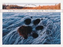 Chased by the Light: A 90-Day Journey: Revisited After the Storm