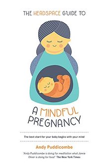 The Headspace Guide To...A Mindful Pregnancy (Headspace Guides)