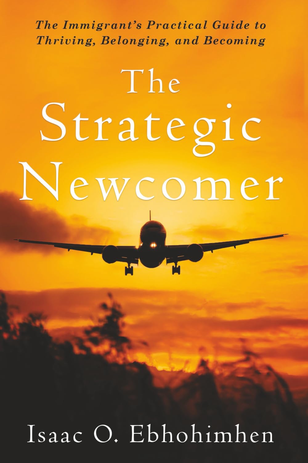 The Strategic Newcomer: The Immigrant's Practical Guide to Thriving, Belonging, and Becoming