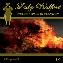 Der Wald in Flammen (14)