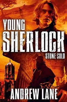 Stone Cold (Young Sherlock Holmes, Band 7)