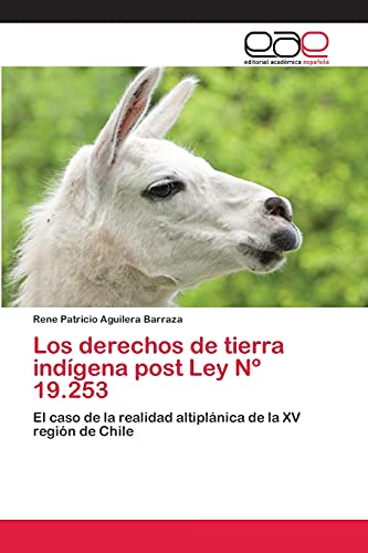 Los derechos de tierra indígena post Ley Nº 19.253: El caso de la realidad altiplánica de la XV región de Chile
