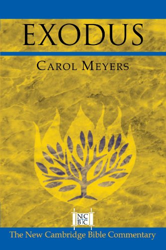 Carol Meyers Exodus (New Cambridge Bible Commentary)