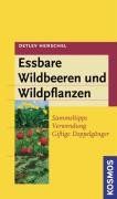 Essbare Wildbeeren und Wildpflanzen: Sammeltipps, Verwendung, giftige Doppelgänger