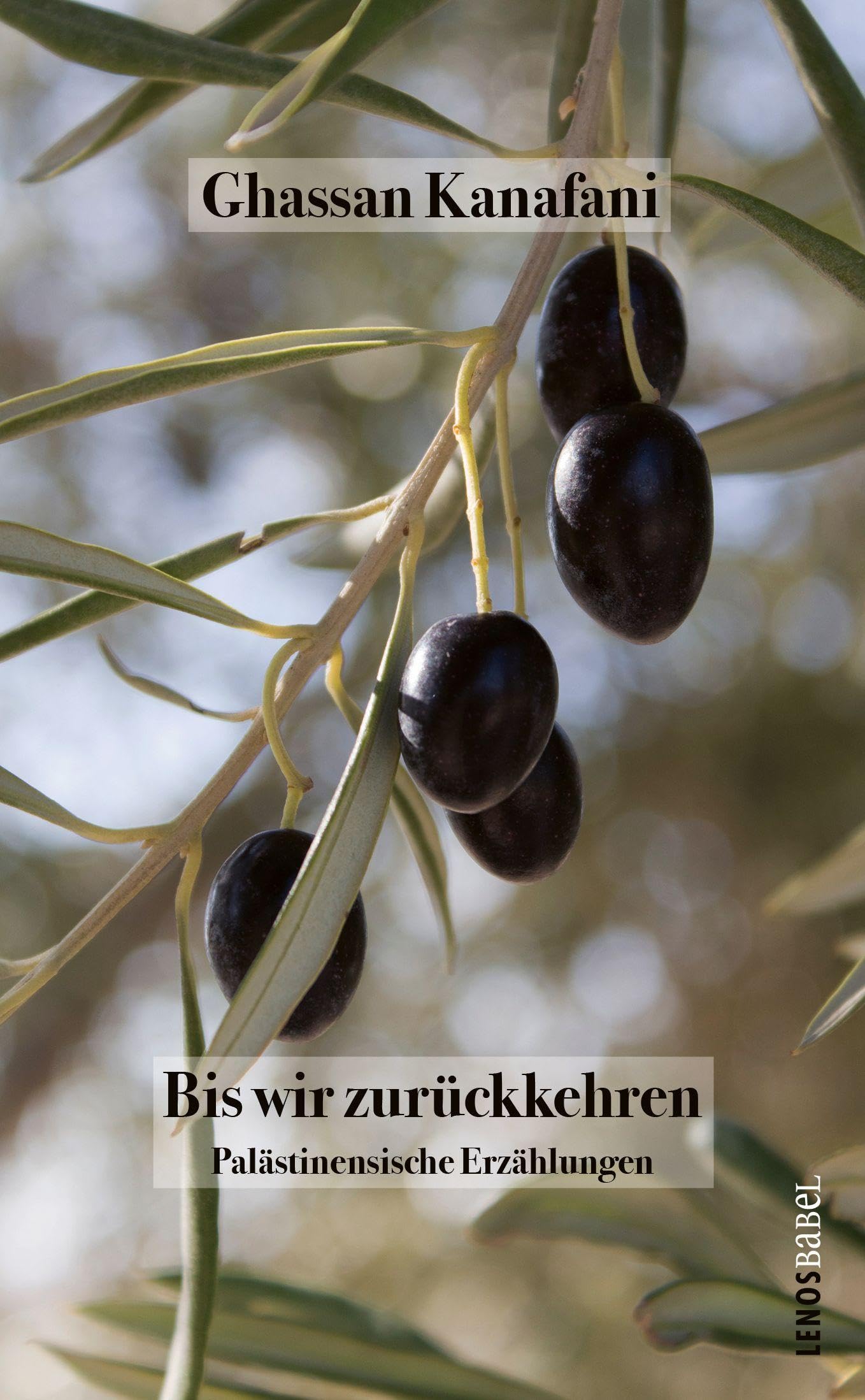 Bis wir zurückkehren: Palästinensische Erzählungen (LP)