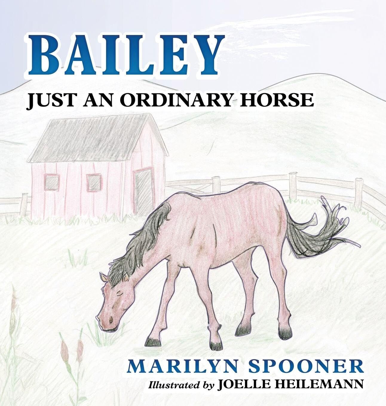 Bailey, Just An Ordinary Horse