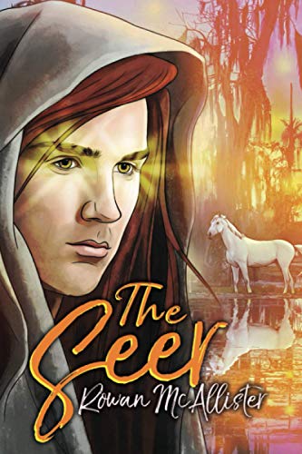 The Seer (Chronicles of the Riftlands, Band 3)
