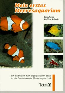Mein erstes Meeresaquarium
