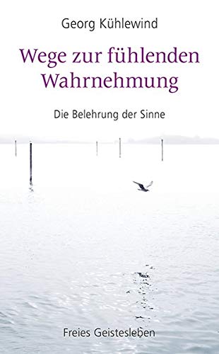 Wege zur fühlenden Wahrnehmung - Georg Kühlewind Kartoniert (TB)