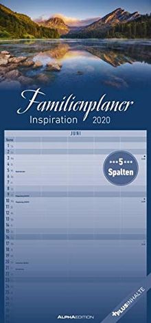 Familienplaner Inspiration 2020 Familientermine Familientimer 22 X 45 Mit Ferienterminen 5 Spalten Wandplaner Familienkalender Von Alpha Edition