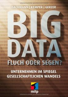 Big Data - Fluch oder Segen?: Unternehmen im Spiegel gesellschaftlichen Wandels (mitp Professional)