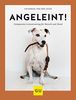 Angeleint!: Das entspannte Leinentraining für Mensch und Hund (GU Tier Spezial)