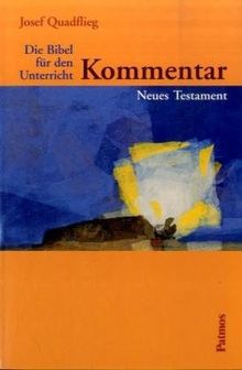 Die Bibel für den Unterricht, Kommentar, Neues Testament