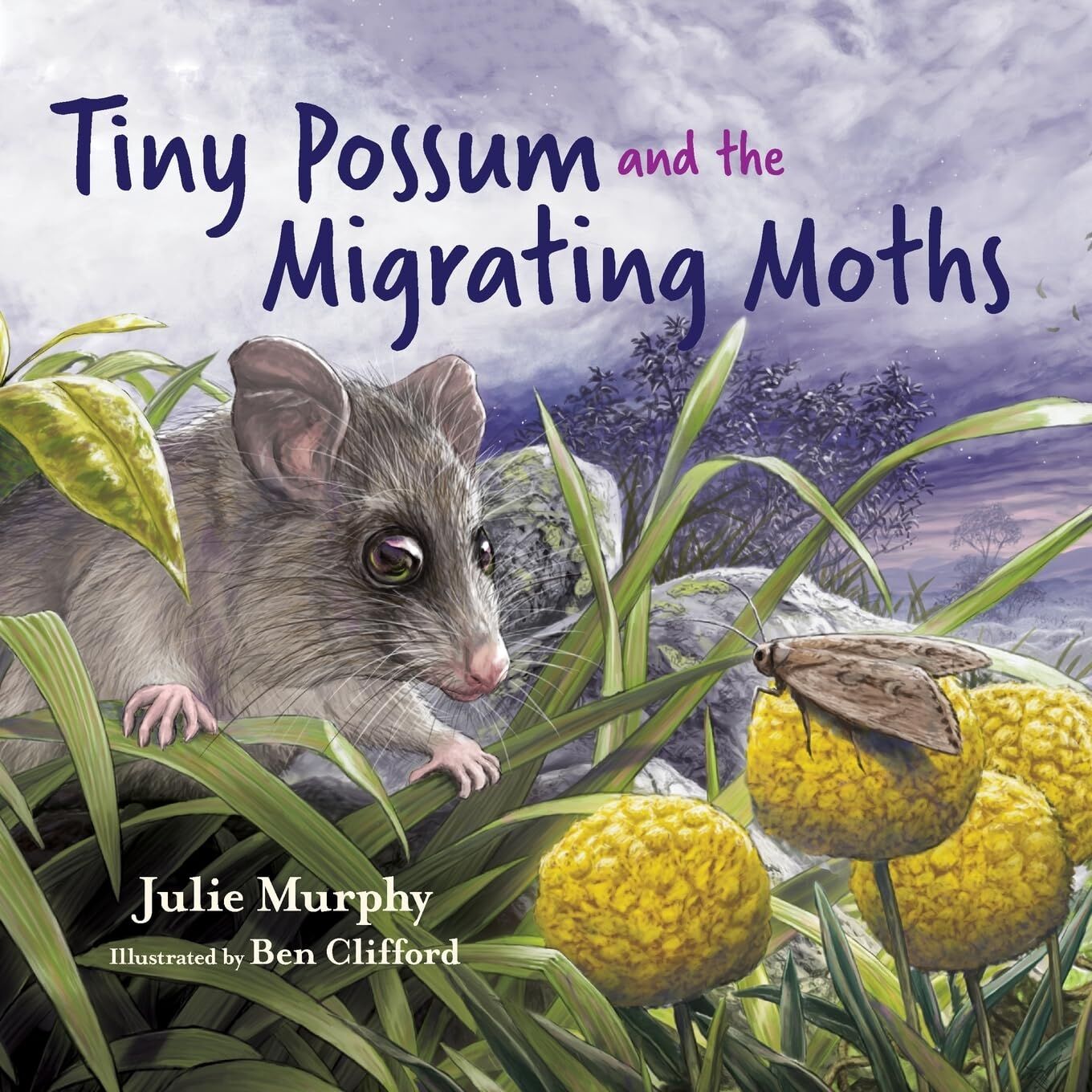 Tiny Possum and the Migrating Moths