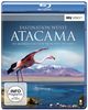 Faszination Wüste - Atacama: Die skurrilste Wüstenlandschaft der Erde (SKY VISION) [Blu-ray]