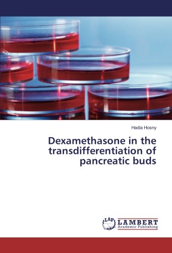 Dexamethasone in the transdifferentiation of pancreatic buds