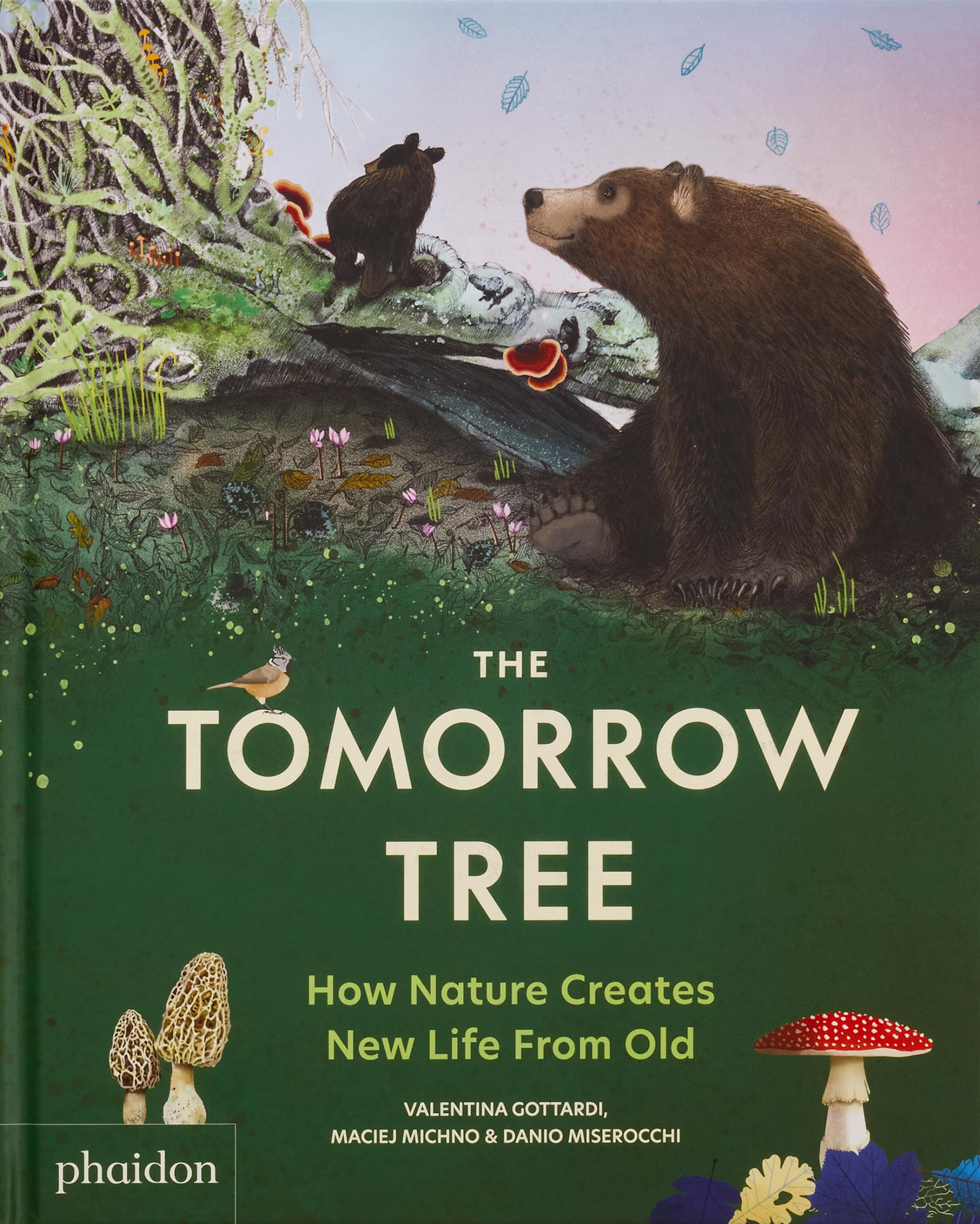 The Tomorrow Tree: How Nature Creates New Life From Old (2025): How Nature Creates New Life From Old