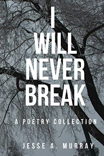 I Will Never Break