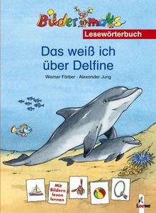 Das weiß ich über Delfine