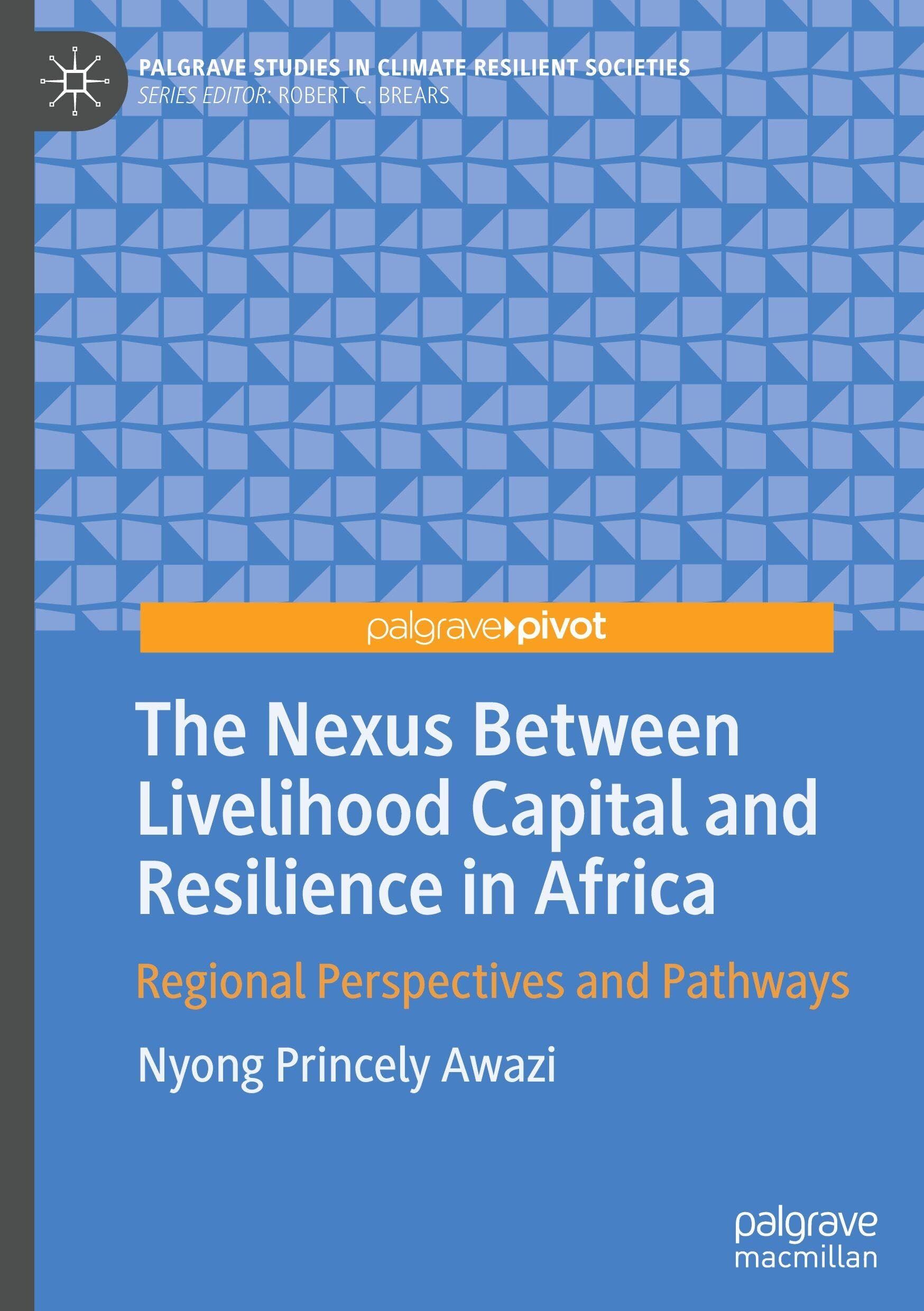 The Nexus Between Livelihood Capital and Resilience in Africa