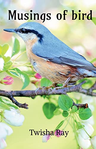 Musings of Bird