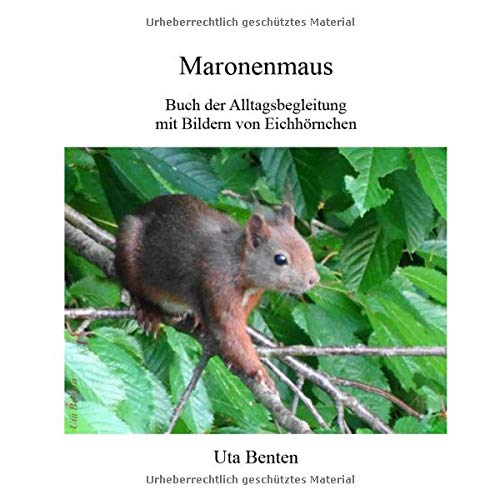 Maronenmaus: Buch der Alltagsbegleitung mit Bildern von Eichhörnchen