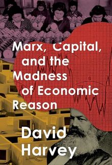 Marx, Capital, and the Madness of Economic Reason