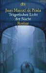 Trügerisches Licht der Nacht: Roman