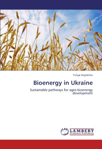 Bioenergy in Ukraine: Sustainable pathways for agro-bioenergy development