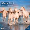 Pferde 2023, Wandkalender / Broschürenkalender im Hochformat (aufgeklappt 30x60 cm) - Geschenk-Kalender mit Monatskalendarium zum Eintragen