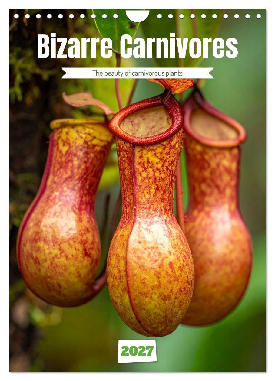 Bizarre Carnivores (Wall Calendar 2027 DIN A4 portrait), CALVENDO 12 Month Wall Calendar