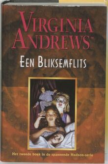 Een bliksemflits (Hudson-serie, 2, Band 2)