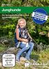 Junghunde: Die Basiskommunikation nach HundeTeamSchule®