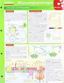 Lerntafel: Pflanzenphysiologie im Überblick (Lerntafeln Biologie)