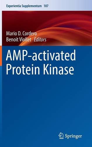 AMP-activated Protein Kinase (Experientia Supplementum)