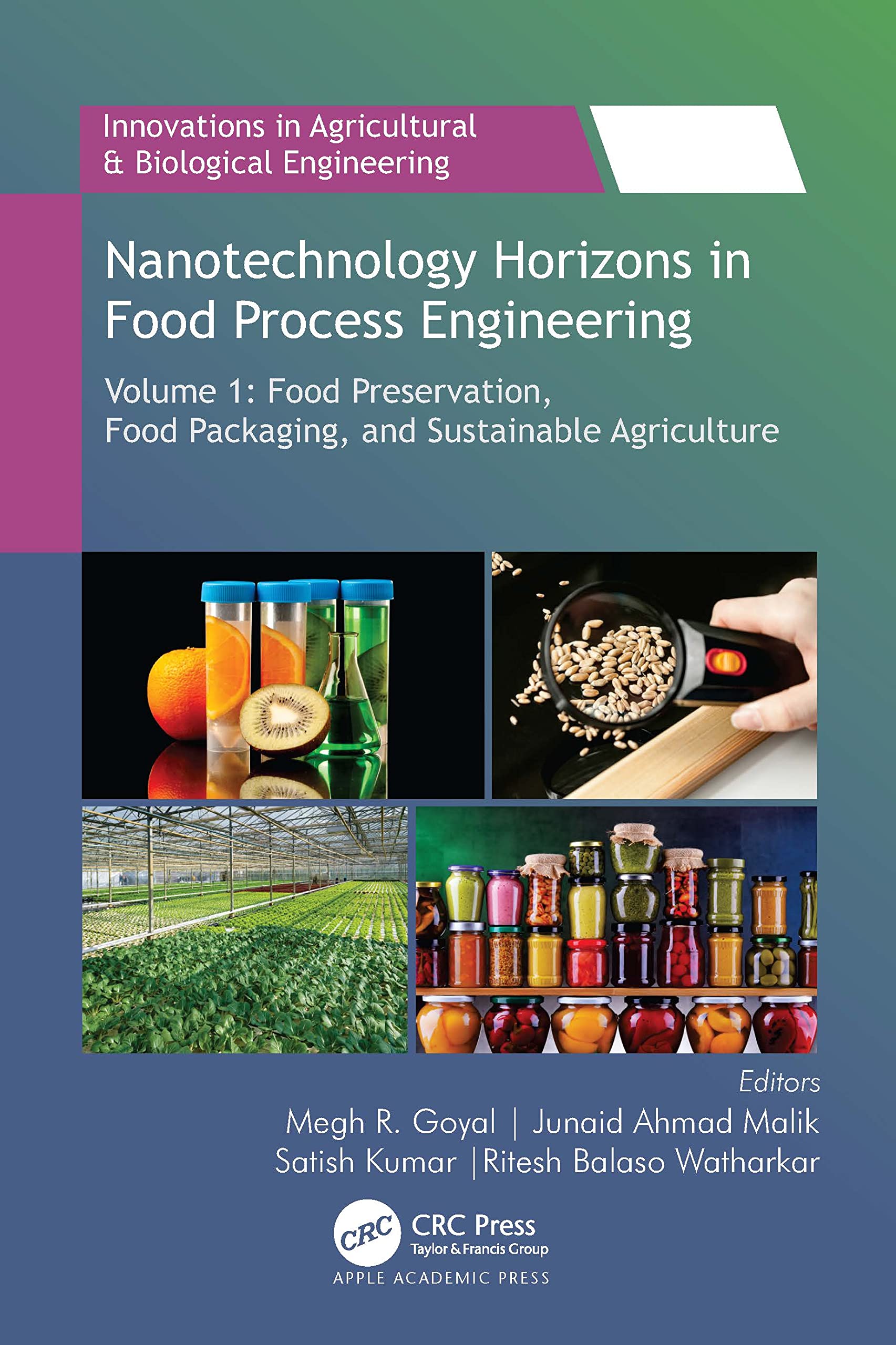 Nanotechnology Horizons in Food Process Engineering: Volume 1: Food Preservation, Food Packaging, and Sustainable Agriculture (Innovations in Agricultural & Biological Engineering, 1)