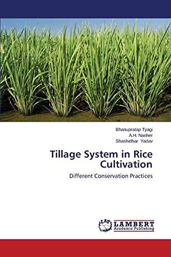 Tillage System in Rice Cultivation: Different Conservation Practices