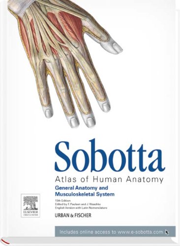 Taschenatlas Der Anatomie, Band 2: Innere Organe EBook : Fritsch, Helga, Kühnel, Wolfgang