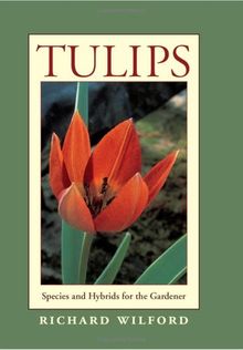 Tulips: Species and Hybrids: Species and Hybrids for the Gardener