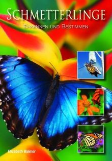 Pocket Guide Schmetterlinge: Erkennen und Bestimmen