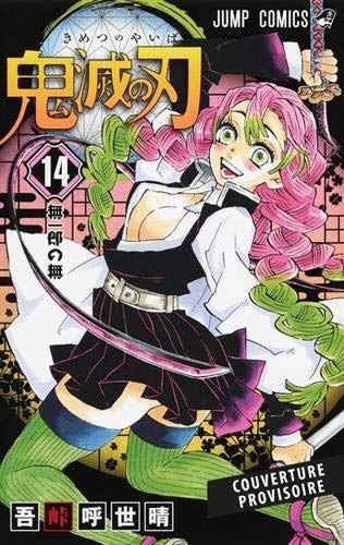 Demon Slayer Nombre De Tome En France Demon Slayer T14 (PANINI MANGA) de unbekannt