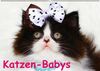 Katzen-Babys (Wandkalender immerwährend DIN A2 quer)