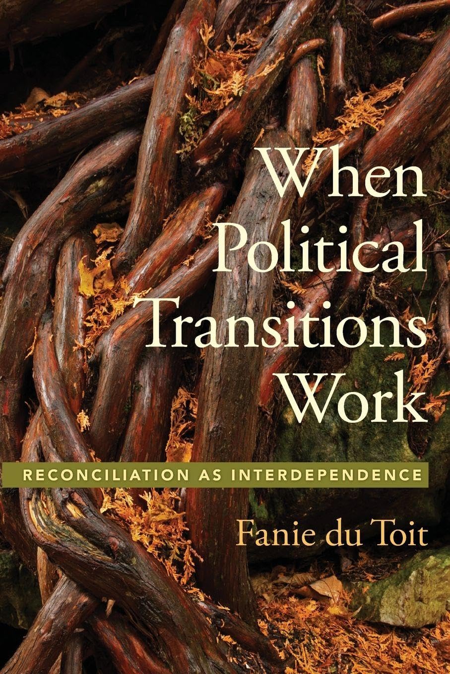 WHEN POLITICAL TRANSITIONS WORK SSP P: Reconciliation as Interdependence (Studies in Strategic Peacebuilding)