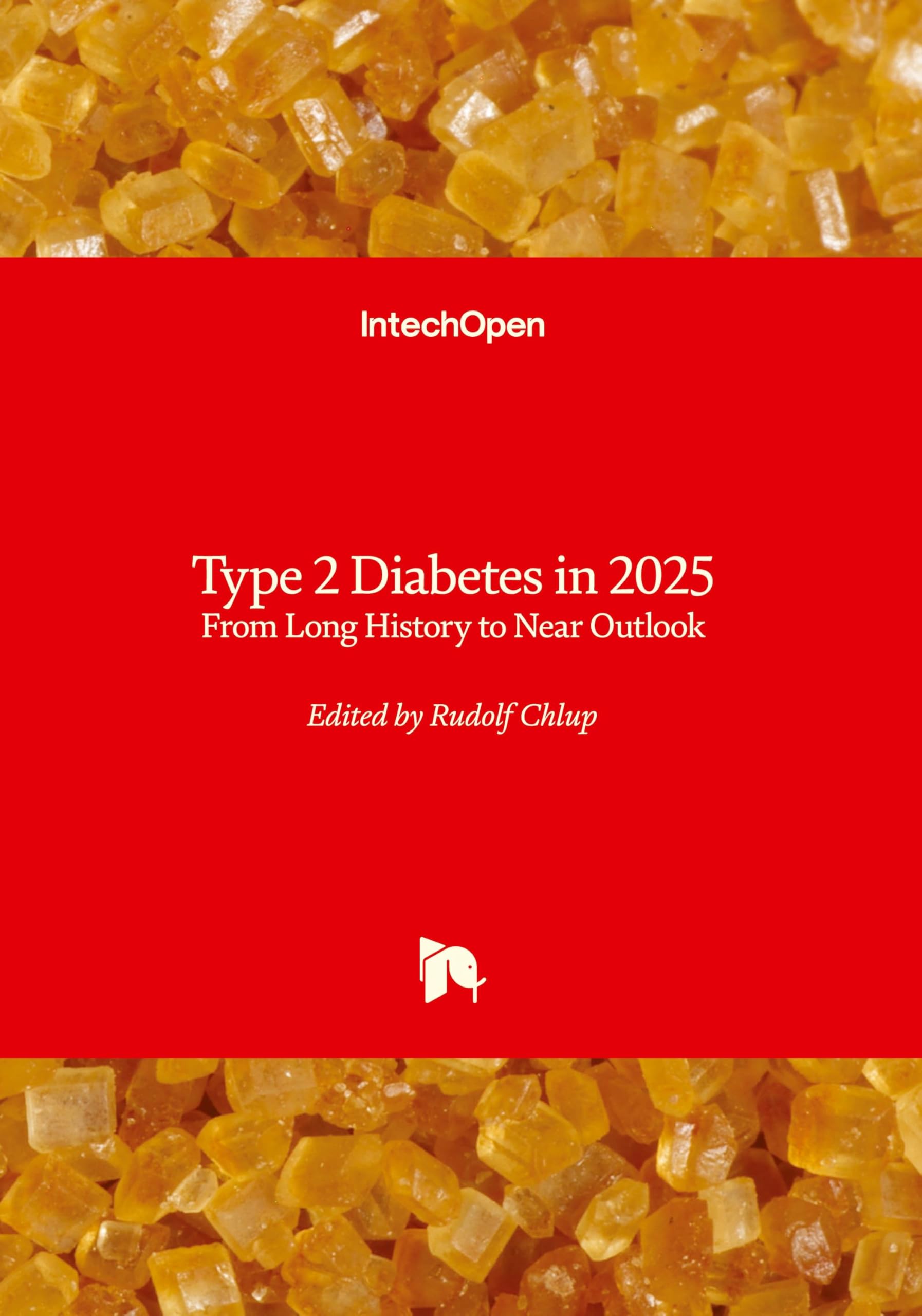 Type 2 Diabetes in 2025 - From Long History to Near Outlook: From Long History to Near Outlook